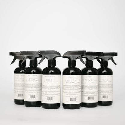 MULTI-SURFACE CLEANER